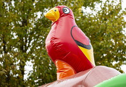 Aufblasbare rutsche combo piraten-themen-hüpfburg zum verkauf bei JB-Hüpfburgen Deutschland. Kaufen sie aufblasbare hüpfburgen mit rutsche für kinder