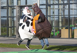 Bestellen sie aufblasbare sumo-anzüge im Cow & Bull-thema für jung und alt. Kaufen sie aufblasbare sumo-anzüge online bei JB-Hüpfburgen Deutschland