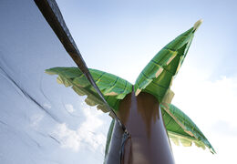 Aufblasbare Umrandung für Beachvolleyball in bunten Farben für Kids und Erwachsene zu kaufen