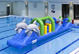 Coole delfin-poolbahn mit herausfordernden hindernisobjekten für jung und alt. Bestellen sie aufblasbare poolspiele jetzt online bei JB-Hüpfburgen Deutschland