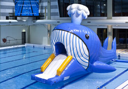 Kaufen sie einen luftdichten hindernislauf mit walmotiv und herausfordernden hindernisobjekten für kinder. Bestellen sie aufblasbare hindernisparcours jetzt online bei JB-Hüpfburgen Deutschland