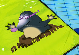 Kaufen sie schöne survival-matte mit loch in verschiedenen größen und farben für jung und alt. Bestellen sie aufblasbare wasserattraktionen jetzt online bei JB-Hüpfburgen Deutschland