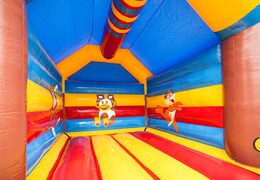 Kaufen sie eine standardwippe für kinder in auffälligen farben mit einem großen 3D-objekt in form eines affen darauf. Bestellen sie hüpfburgen online bei JB-Hüpfburgen Deutschland