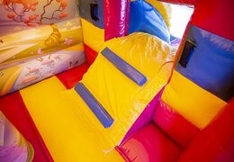 Bestellen sie eine kleine indoor-multifunktionswippe im prinzessinnen-design für kinder. Multifun hüpfburgen sind online bei JB-Hüpfburgen Deutschland