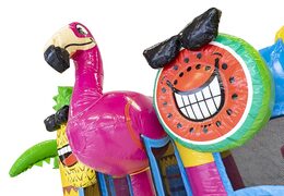 Oder mini-multiplay-hüpfburg im flamingo-design mit rutsche für kinder. Aufblasbare hüpfburgen mit rutsche online kaufen bei JJB-Hüpfburgen Deutschland
