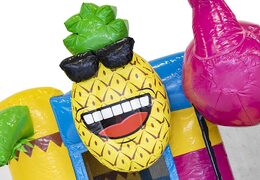 Bestellen sie eine aufblasbare multiplay-mini-hüpfburg im flamingo-design mit rutsche für kinder. Aufblasbare hüpfburgen mit rutsche zum Verkauf bei JB-Hüpfburgen Deutschland