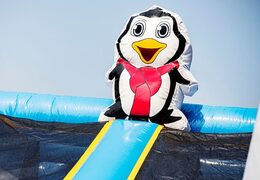 Aufblasbare hüpfburg im frozen-thema mit rutschen und lustigen hindernissen mit aufdruck für kinder. Kaufen sie hüpfburgen online bei JB-Hüpfburgen Deutschland