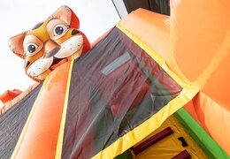 World jungle hüpfburg für kinder. Kaufen sie hüpfburgen online bei JB-Hüpfburgen Deutschland