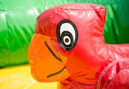 Kaufen sie aufblasbare halboffene playzone-dschungel-hüpfburg mit plastikbällen und 3D-objekten für kinder. Bestellen sie hüpfburgen online bei JB-Hüpfburgen Deutschland