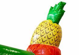 Kaufen sie überdachte rutschbox hawaii hüpfburg mit rutsche für kinder. Bestellen sie hüpfburgen online bei JB-Hüpfburgen Deutschland