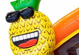 Kaufen sie aufblasbare multiplay-hüpfburg im flamingo-design mit anschließbaren badewannen für kinder bei JB-Hüpfburgen Deutschland. Bestellen sie hüpfburgen online bei JB-Hüpfburgen Deutschland