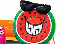 Bestellen sie splashy slide flamingo hüpfburg bei JB-Hüpfburgen Deutschland. Kaufen sie aufblasbare hüpfburgen online bei JB-Hüpfburgen Deutschland