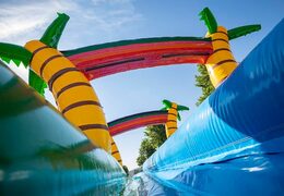 Drop & Slide Jungle hüpfburg mit doppelrutsche für kinder kaufen. Bestellen sie hüpfburgen online bei JB-Hüpfburgen Deutschland