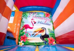 Bestellen sie multifunktionale mini-splash-flamingo-hüpfburg bei JB-Hüpfburgen Deutschland. Kaufen sie hüpfburgen online bei JB-Hüpfburgen Deutschland