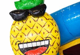 Kaufen sie aufblasbare multiplay-hüpfburg im thema flamingo mit oder ohne badewanne für kinder bei JB-Hüpfburgen Deutschland. Bestellen sie hüpfburgen online bei JB-Hüpfburgen Deutschland