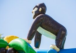 Kaufen sie eine standard-dschungel-hüpfburg in auffälligen Farben mit einem großen gorilla-3D-objekt auf der oberseite für kinder. Bestellen sie hüpfburgen online bei JB-Hüpfburgen Deutschland
