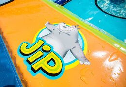 Op maat gemaakte duikmat voor in het zwembad kopen voor kinderen