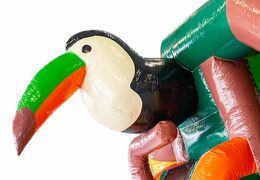 Aufblasbare rutsche combo amazone hüpfburg kaufen bei JB-Hüpfburgen Deutschland. Bestellen sie jetzt aufblasbare hüpfburgen mit rutsche für kinder