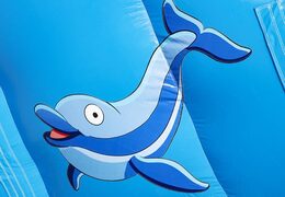Holen sie sich Ihre aufblasbare delfinrutsche mit fröhlichen farben, 3D-objekten und lustigem aufdruck an der seitenwand für kinder. Bestellen sie aufblasbare rutschen bei JB-Hüpfburgen Deutschland