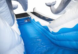 Kaufen sie eine spektakuläre aufblasbare rutsche mit delphin-thema mit lustigen drucken und 3D-objekten für kinder. Bestellen sie aufblasbare rutschen jetzt online bei JB-Hüpfburgen Deutschland