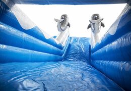 Holen sie sich Ihre aufblasbare delfinrutsche mit den fröhlichen farben, 3D-objekten und dem lustigen druck auf der seitenwand jetzt online. Bestellen sie aufblasbare rutschen bei JB-Hüpfburgen Deutschland