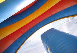 Luftrutsche mit Pool und Hüpfburg im Thema Delfin für Kinder online zu kaufen