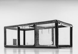 Kaufen Sie aufblasbare Autokapseln, um Fahrzeuge zu lagern