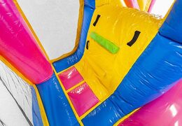 Hüpfburg mit Einhornmotiv für Kinder mit Rutsche und Gegenständen zum Kaufen