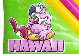 Kinder-Hawaii-Thema, aufblasbarer, kompakter Rutschen-Hüpfer zum Verkauf