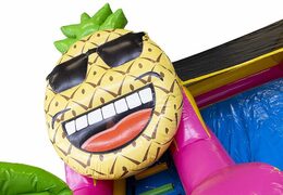 Kaufen Sie eine aufblasbare kompakte Hüpfburg mit Rutsche für Kinder im Hawaii-Design