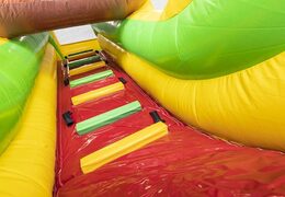 Jungle Theme Aufblasbare Luftkissenrutsche für Kinder zum Verkauf