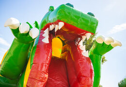 Aufblasbares Luftkissen Multiplay mit Rutsche im gelbgrünen Dino-Design zu verkaufen