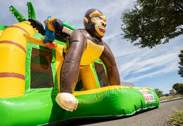 Aufblasbares Multiplay-Super-Luftkissen mit Elefanten- und Gorilla-Dschungel-Thema zum Verkauf für Kinder