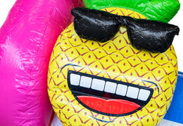 Kaufen Sie aufblasbare Hüpfburg Mini Multiplay im Flamingo-Design für Kinder. Aufblasbare Hüpfburgen zum Verkauf bei JB-Hüpfburgen Deutschland