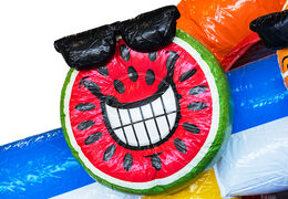 Bestellen Sie aufblasbare Hüpfburg Mini Multiplay im Thema Flamingo für Kinder. Kaufen Sie aufblasbare Hüpfburgen bei JB-Hüpfburgen Deutschland