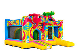 Seite von Multiplay Ibiza rosa grüne Salamander