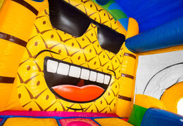 Große Ananas im Hüpfburg Bouncy Box Hawaii zu verkaufen bei JB Inflatables