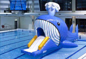 Kaufen sie einen luftdichten hindernislauf mit walmotiv und herausfordernden hindernisobjekten für kinder. Bestellen sie aufblasbare hindernisparcours jetzt online bei JB-Hüpfburgen Deutschland