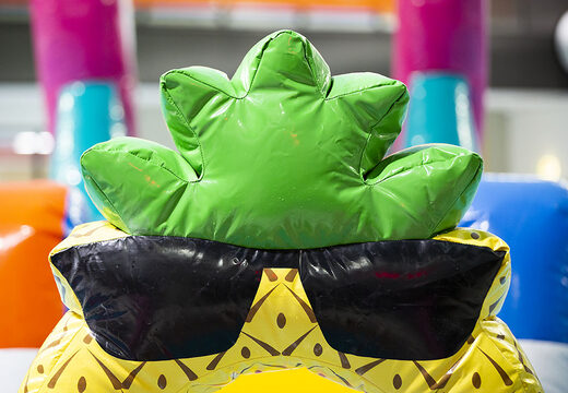 Flamingo run parcours in einzigartigem design für jung und alt. Kaufen sie aufblasbare schwimmbecken-hindernisparcours jetzt online bei JB-Hüpfburgen Deutschland