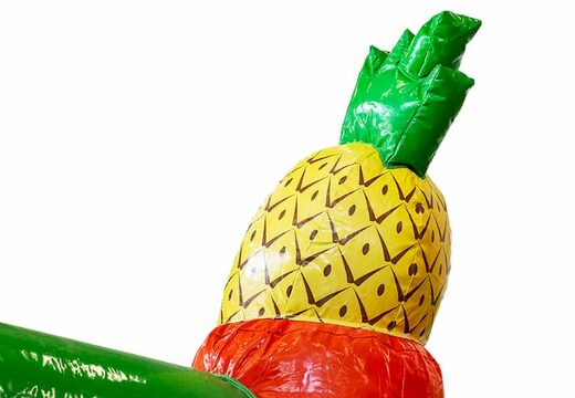 Kaufen sie überdachte rutschbox hawaii hüpfburg mit rutsche für kinder. Bestellen sie hüpfburgen online bei JB-Hüpfburgen Deutschland