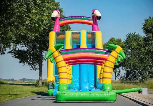 Drop & Slide Jungle hüpfburg doppelrutsche für kinder bestellen. Kaufen sie aufblasbare hüpfburgen online bei JB-Hüpfburgen Deutschland