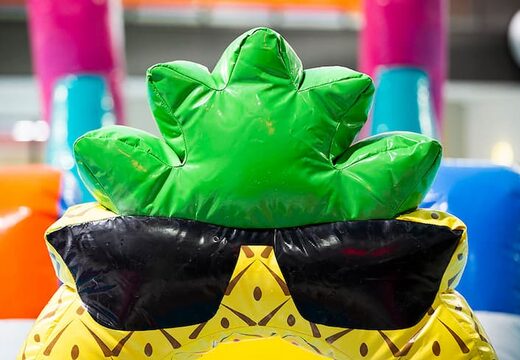 Opblaasbare waterstormbaan huren in flamingo thema voor kinderen