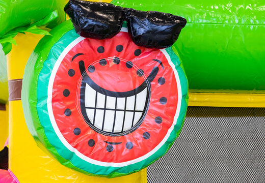 Bestellen Sie große aufblasbare Hüpfburg im Flamingo-Thema für Kinder. Kaufen Sie Schlauchboote online bei JB-Hüpfburgen Deutschland