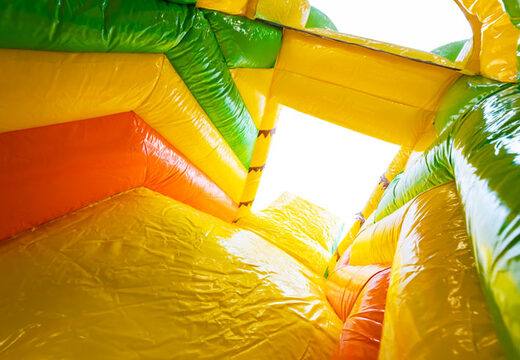 Aufblasbares Mini-Multiplay-Luftkissen zum Verkauf im Löwen-Thema für Kinder. Bestellen Sie aufblasbare Luftkissen bei JB-Hüpfburgen Deutschland