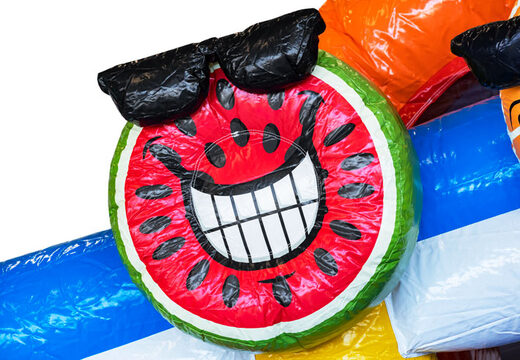 Bestellen Sie aufblasbare Hüpfburg Mini Multiplay im Thema Flamingo für Kinder. Kaufen Sie aufblasbare Hüpfburgen bei JB-Hüpfburgen Deutschland