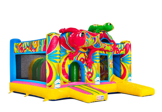 Seite von Multiplay Ibiza rosa grüne Salamander